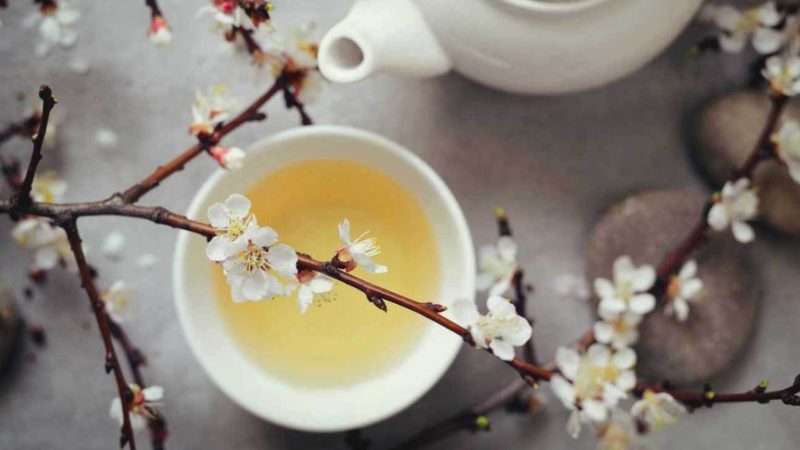 White Tea: Benefits, Side Effects and How To Make White Tea