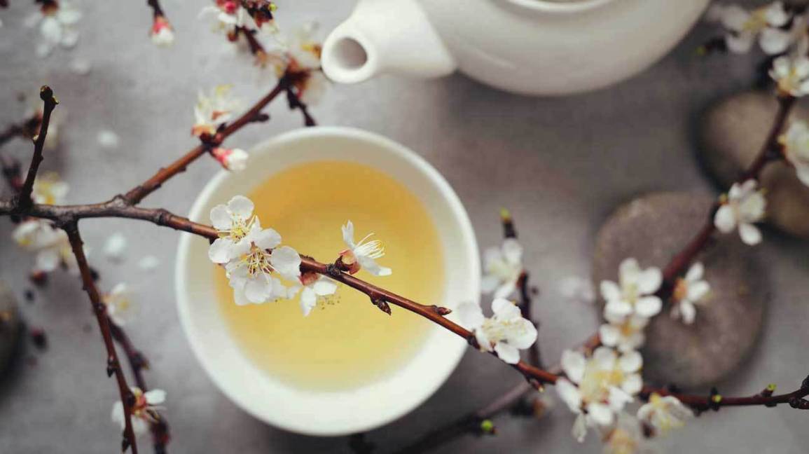 White Tea: Benefits, Side Effects and How To Make White Tea