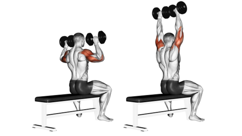 10 Shoulder Workouts For Beginners